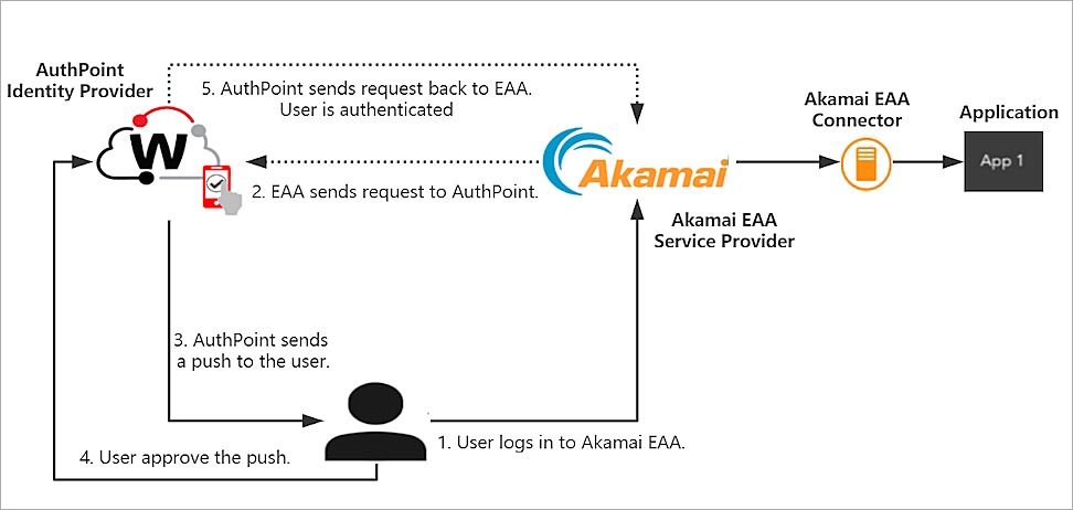 The topology diagram